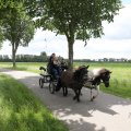IMG_2037482