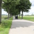 IMG_2037487