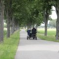 IMG_2037491
