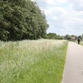 IMG_2037504