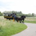 IMG_2037556