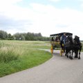 IMG_2037559