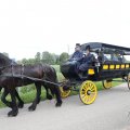 IMG_2037562