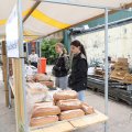 IMG_2037602