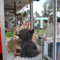 IMG_2039062