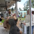 IMG_2039063