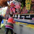 IMG_2039132