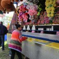 IMG_2039133