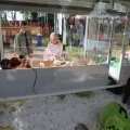 IMG_2039140