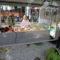 IMG_2039141